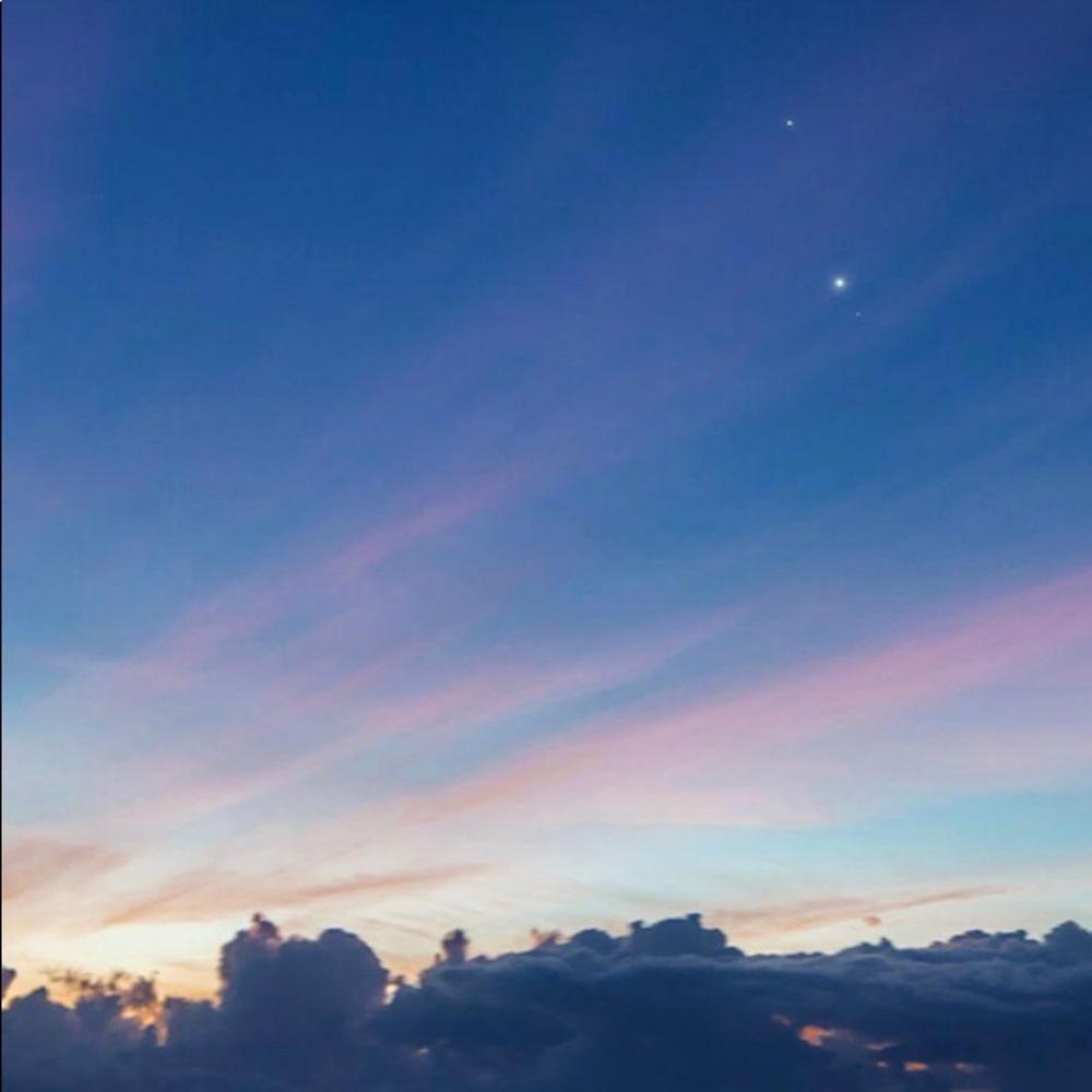 Meet your Posher, Evelyn